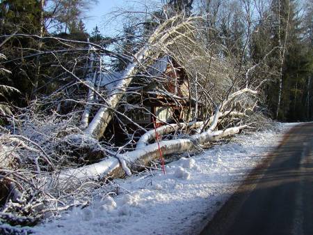 Sydkraft 002.jpg