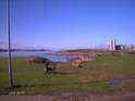 Limfjorden, Strandparken Nørresundby