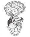 Heart Brain problematikker